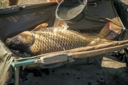 shutterstock 1091765741