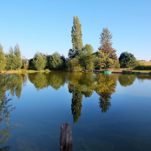 IMG 1231 2 3 4 5 Compressor