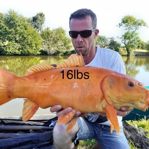 85782FCF 62E7 4CC6 A56D 1B6A3C1C93A2 1 201 a