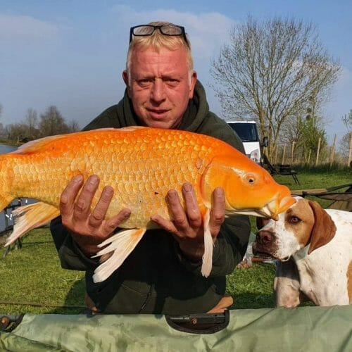 F4A7CD88 A76D 4B51 95D8 DB3A4E11BF63