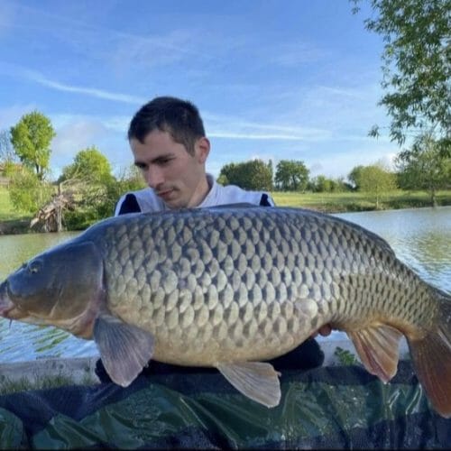 D64350AA C55A 49AD 8C25 15B8D608C59A 1 201 a